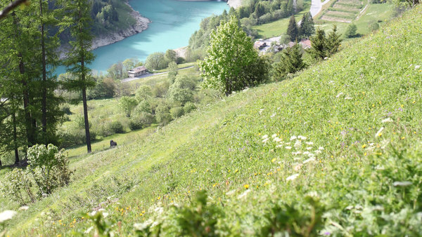 Lötschental Wallis, Naturprodukte aus der Schweiz, fair und swissmade